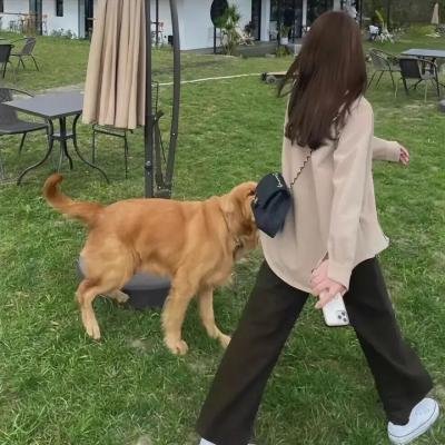 情迷大话王